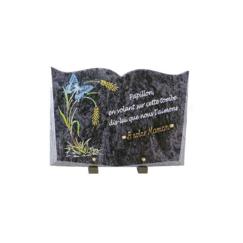 Livre Papillon Livre Papillon