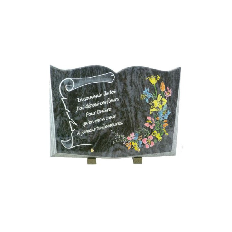Livre Parchemin Livre Parchemin